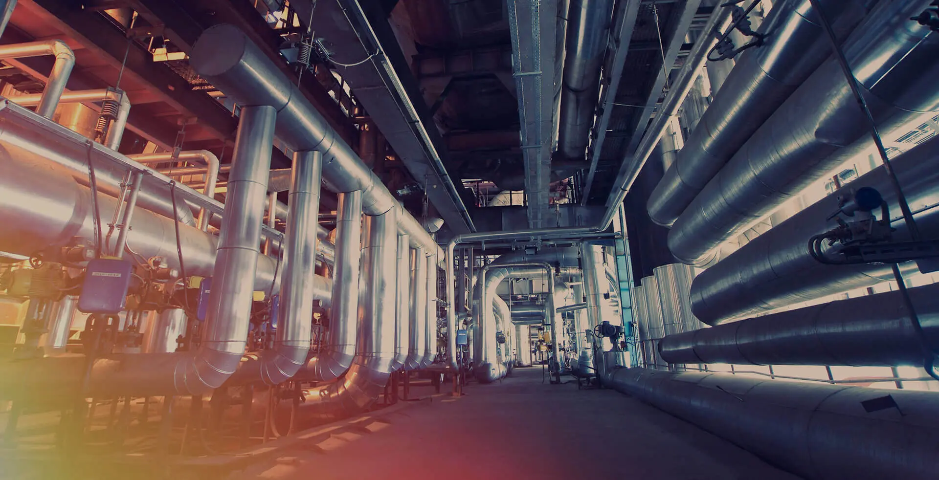 Welcome to our company